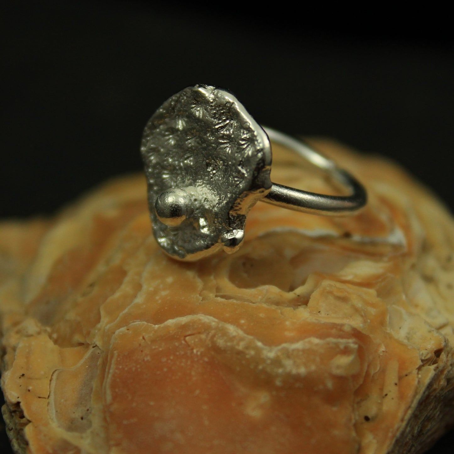 EARTH Ring Silber